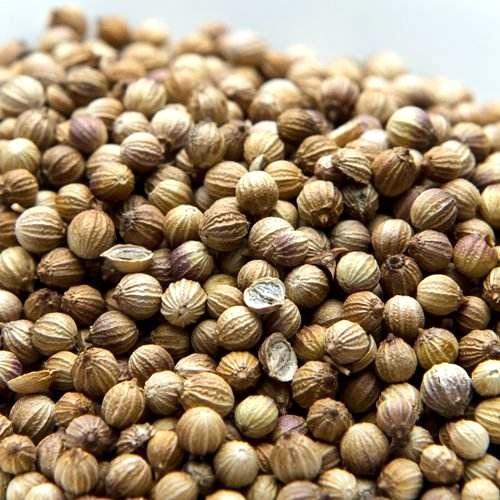 家庭种菜,扔几粒种子,蹭蹭长满盆,收获10几次,新鲜美味