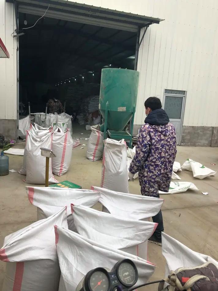 石嘴山草花种子工厂,三北工程花种子,花卉种子,景观