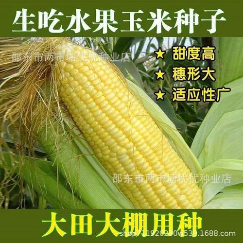主营产品:种苗;种子种球;蔬菜种子;番茄种子;黄瓜种子;大田蔬菜种子