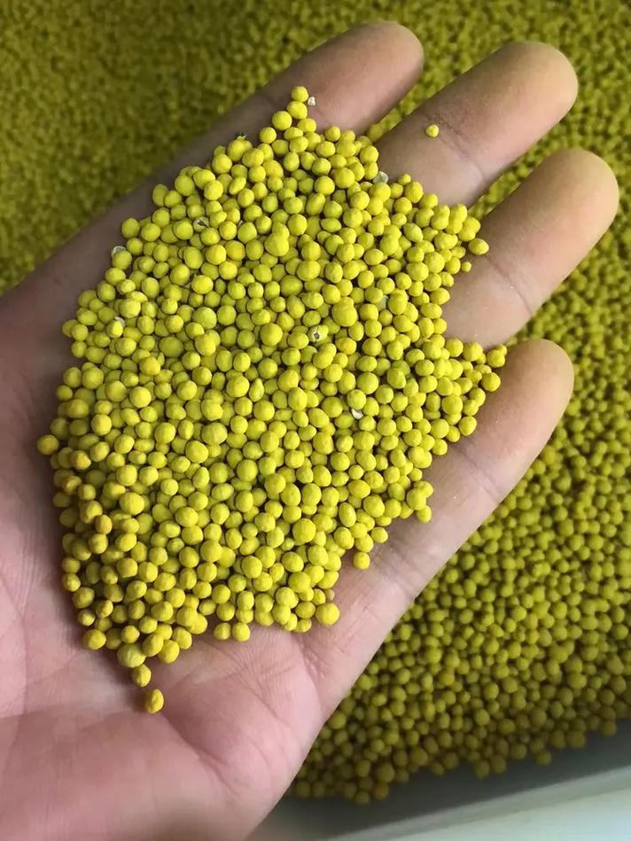 平顶山长得快的草籽生产基地,进口草坪种子,护坡草种,绿化草籽