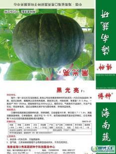 诚招黑光亮F1--南瓜种子代理加盟_农副产品_世界工厂网中国产品信息库
